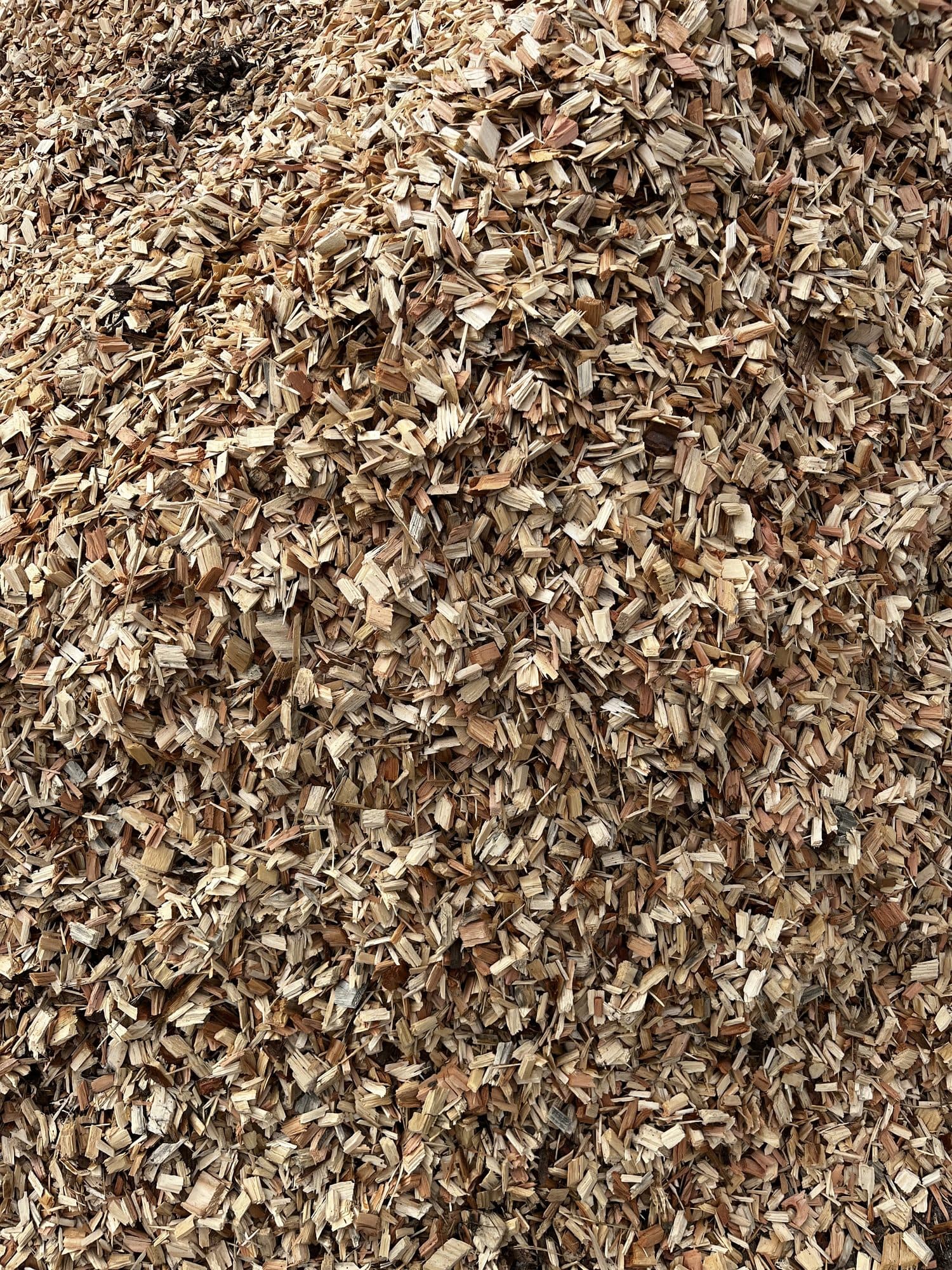 Rindenmulch in Nahaufnahme Nahaufnahme von braunem Rindenmulch zur Beetgestaltung